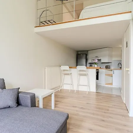 Duplex Appartement Puteaux